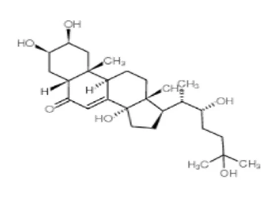 2What is the difference between ecdysterone extract and Turkesterone extract 2What is the difference between ecdysterone extract and Turkesterone extract