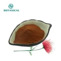 Rhodiola Rosea 추출물 분말