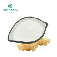 Tremella fuciformis 추출물