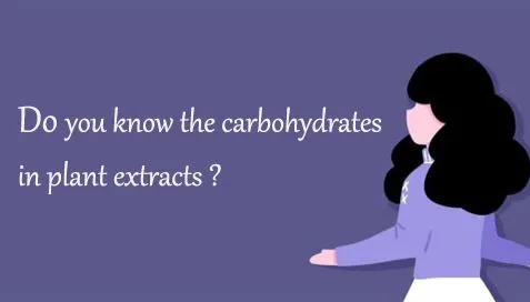식물 추출물의 탄수화물을 알고 계십니까?