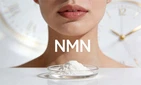 NMN은 비타민 B3인가요?