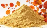 어느 것이 더 낫습니까: Fisetin 또는 Quercetin?