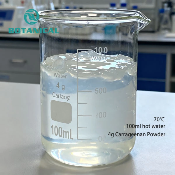 Carrageenan powder dissolution 